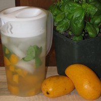 Permalink to: Day Spa Mango and Basil Water Day Spa Mango and Basil Water
