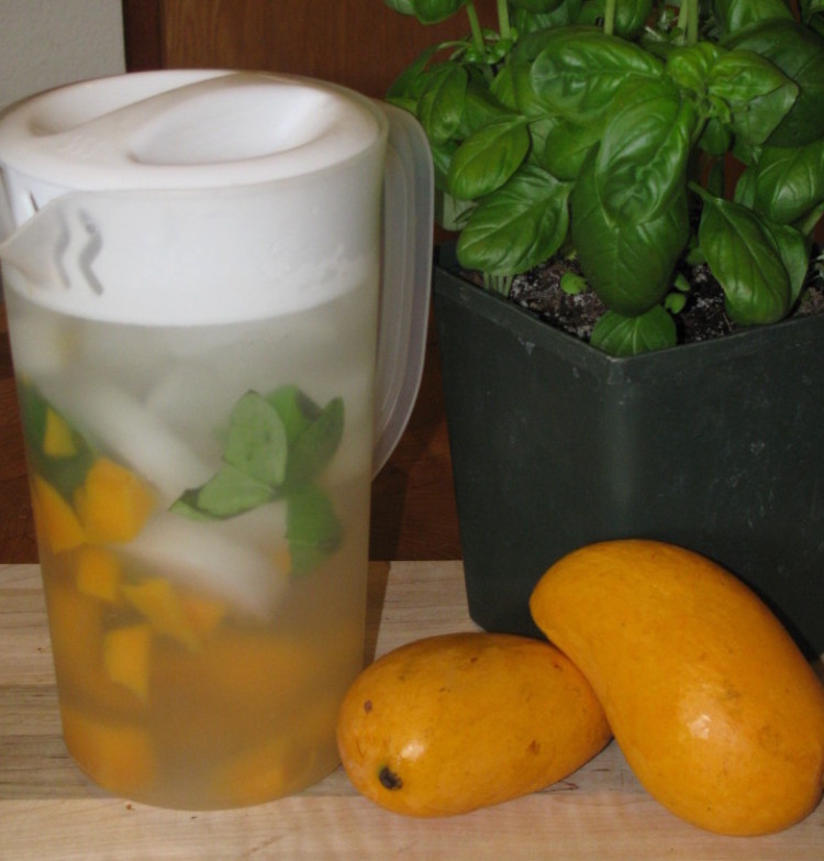 Day Spa Mango and Basil Water