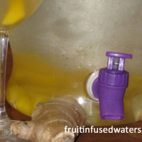 Permalink to: Day Spa Mango Ginger Water Mango Ginger Water